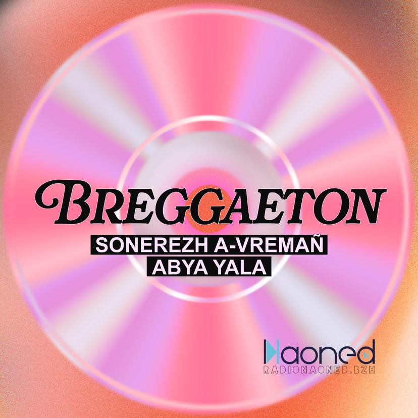 03- Reggaeton politikel